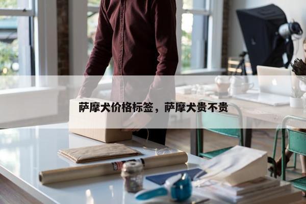 萨摩犬价格标签，萨摩犬贵不贵