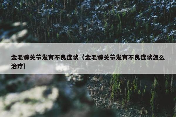 金毛髋关节发育不良症状（金毛髋关节发育不良症状怎么治疗）