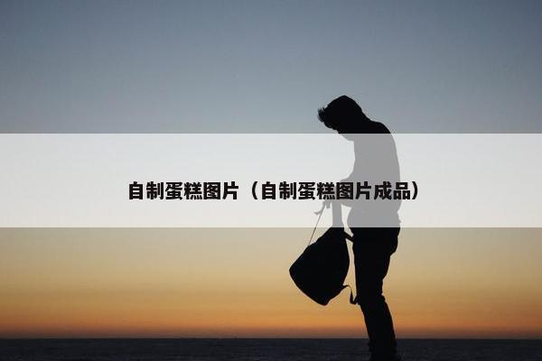 自制蛋糕图片（自制蛋糕图片成品）