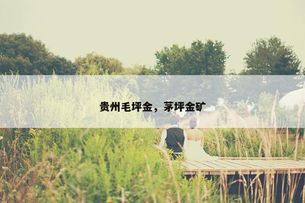 贵州毛坪金，茅坪金矿