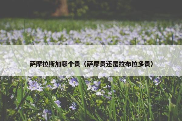 萨摩拉斯加哪个贵（萨摩贵还是拉布拉多贵）