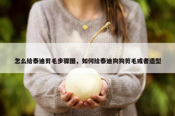 怎么给泰迪剪毛步骤图，如何给泰迪狗狗剪毛或者造型