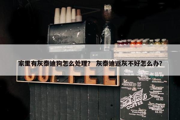 家里有灰泰迪狗怎么处理？ 灰泰迪返灰不好怎么办？