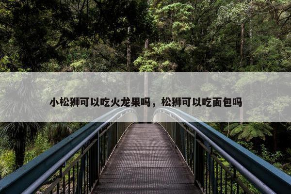 小松狮可以吃火龙果吗，松狮可以吃面包吗