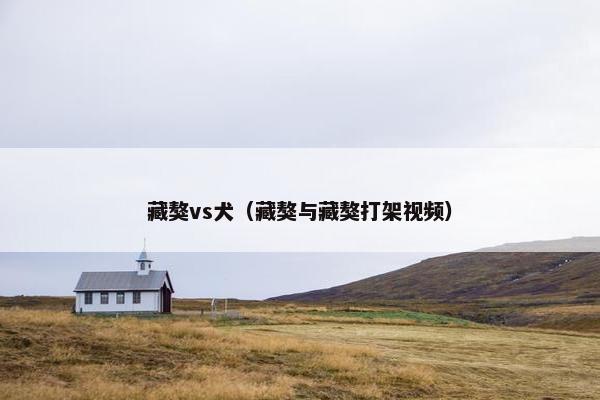 藏獒vs犬（藏獒与藏獒打架视频）
