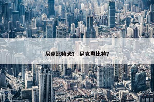 尼克比特犬？ 尼克惠比特？