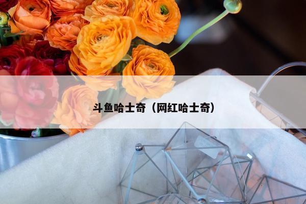 斗鱼哈士奇（网红哈士奇）