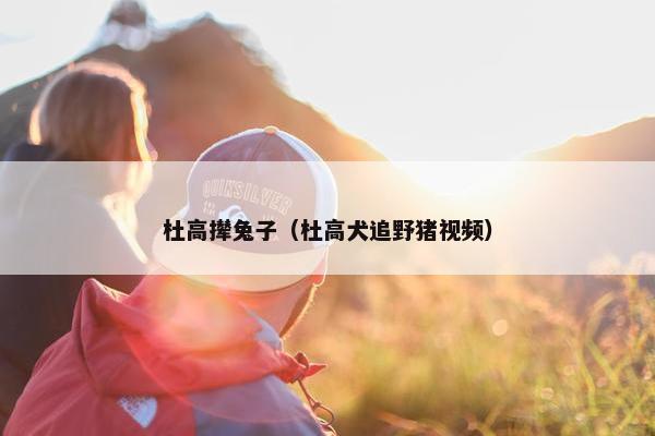 杜高撵兔子（杜高犬追野猪视频）