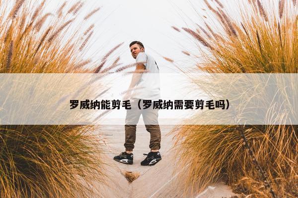 罗威纳能剪毛（罗威纳需要剪毛吗）
