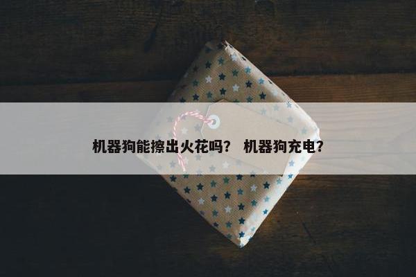 机器狗能擦出火花吗？ 机器狗充电？