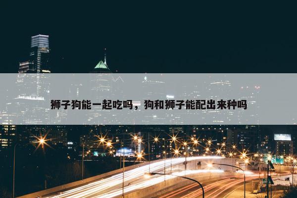 狮子狗能一起吃吗，狗和狮子能配出来种吗