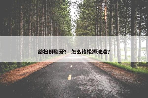 给松狮刷牙？ 怎么给松狮洗澡？