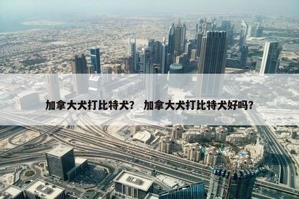 加拿大犬打比特犬？ 加拿大犬打比特犬好吗？