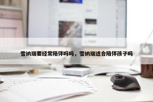 雪纳瑞要经常陪伴吗吗，雪纳瑞适合陪伴孩子吗