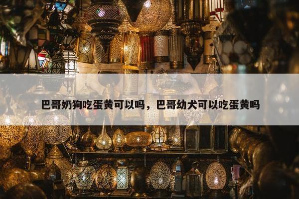 巴哥奶狗吃蛋黄可以吗，巴哥幼犬可以吃蛋黄吗