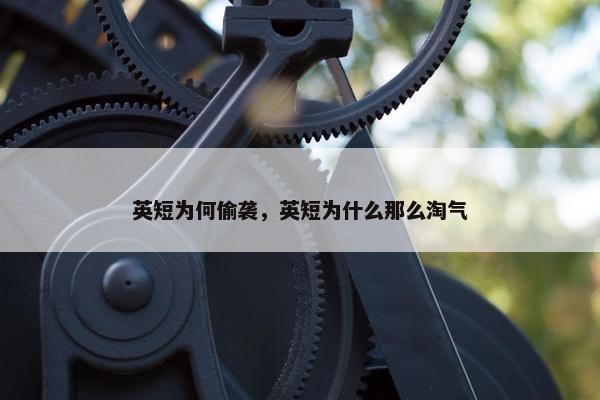英短为何偷袭，英短为什么那么淘气