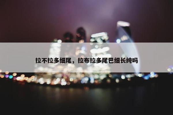 拉不拉多细尾，拉布拉多尾巴细长纯吗
