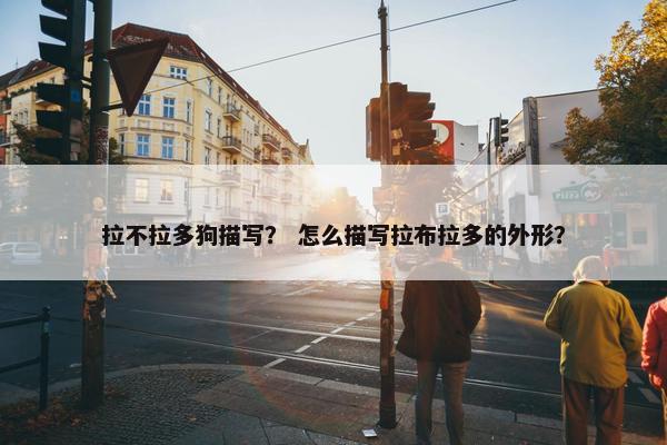 拉不拉多狗描写？ 怎么描写拉布拉多的外形？