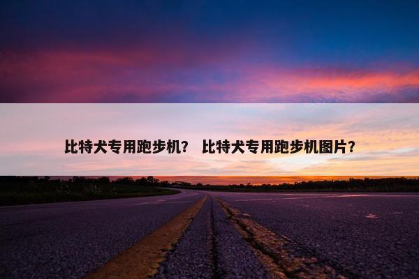 比特犬专用跑步机？ 比特犬专用跑步机图片？