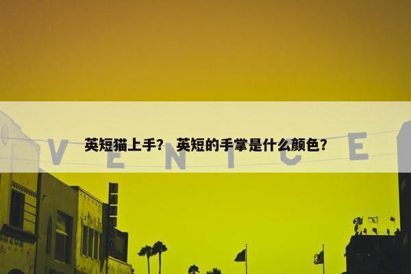 英短猫上手？ 英短的手掌是什么颜色？