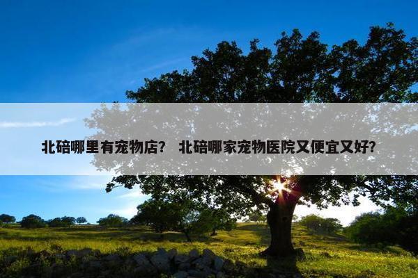 北碚哪里有宠物店？ 北碚哪家宠物医院又便宜又好？