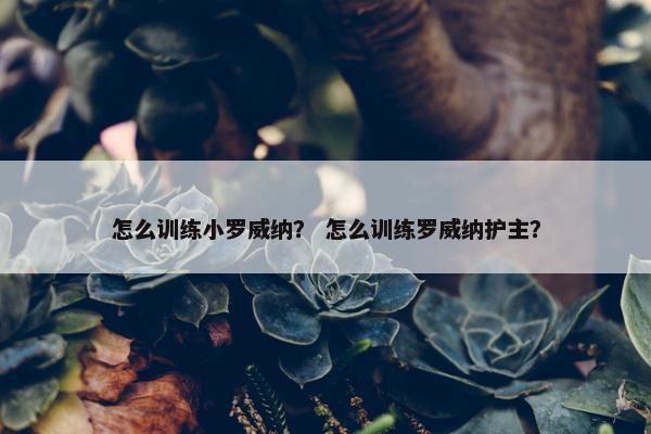 怎么训练小罗威纳？ 怎么训练罗威纳护主？