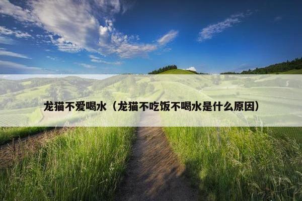 龙猫不爱喝水（龙猫不吃饭不喝水是什么原因）