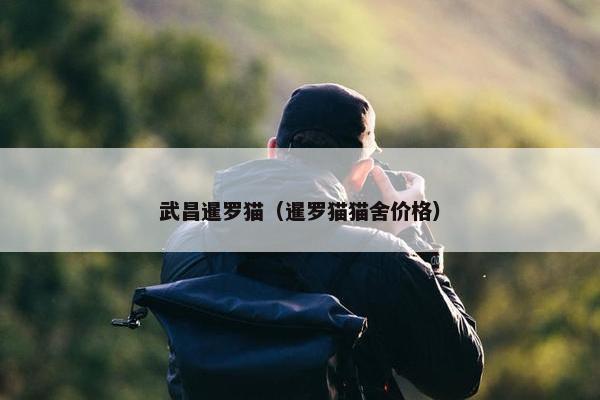 武昌暹罗猫（暹罗猫猫舍价格）