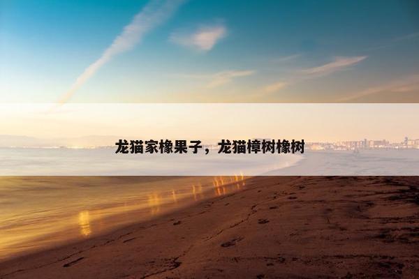 龙猫家橡果子，龙猫樟树橡树