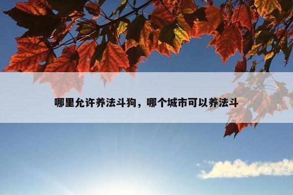 哪里允许养法斗狗，哪个城市可以养法斗