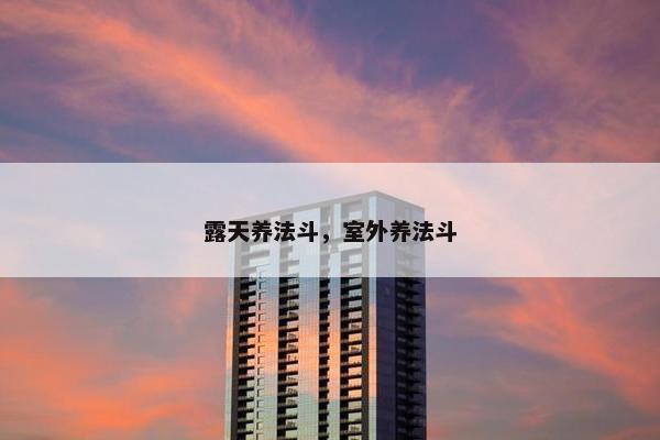 露天养法斗，室外养法斗