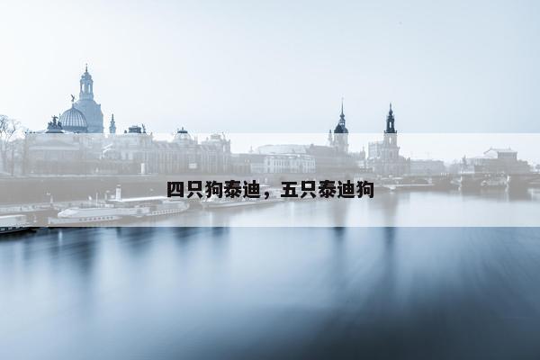 四只狗泰迪，五只泰迪狗