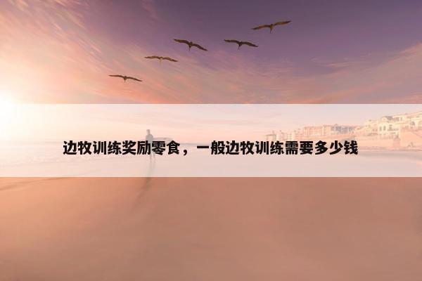 边牧训练奖励零食，一般边牧训练需要多少钱