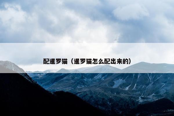 配暹罗猫（暹罗猫怎么配出来的）