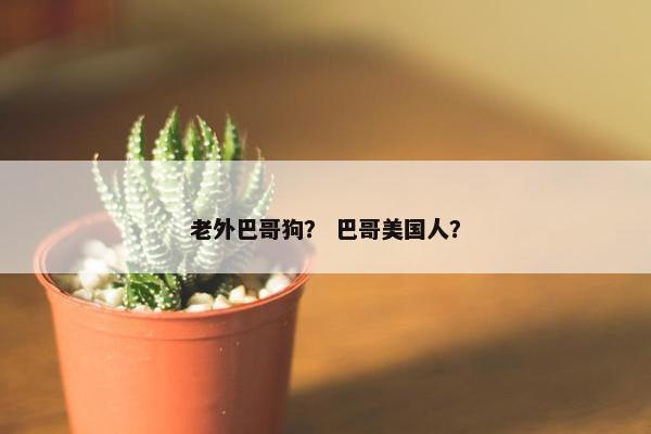 老外巴哥狗？ 巴哥美国人？