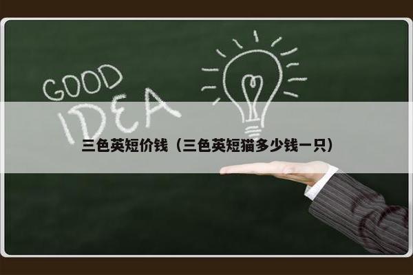 三色英短价钱（三色英短猫多少钱一只）