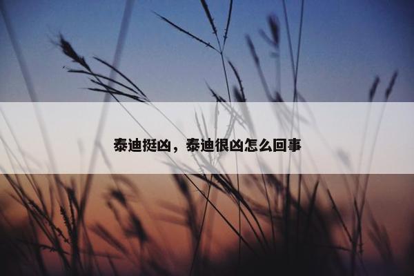 泰迪挺凶，泰迪很凶怎么回事