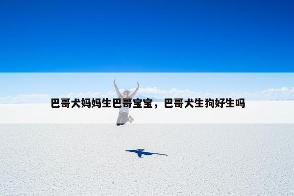 巴哥犬妈妈生巴哥宝宝，巴哥犬生狗好生吗