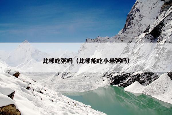 比熊吃粥吗（比熊能吃小米粥吗）