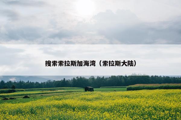 搜索索拉斯加海湾（索拉斯大陆）