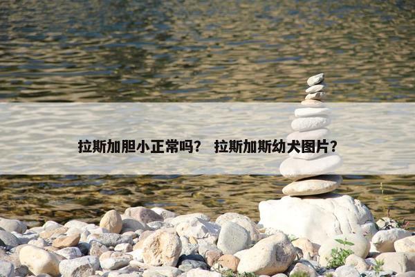 拉斯加胆小正常吗？ 拉斯加斯幼犬图片？