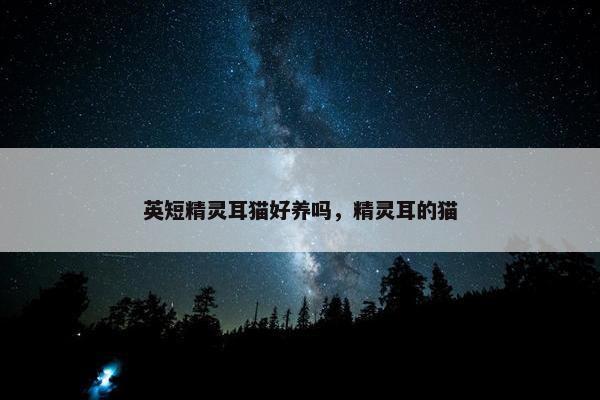英短精灵耳猫好养吗，精灵耳的猫