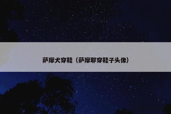 萨摩犬穿鞋（萨摩耶穿鞋子头像）