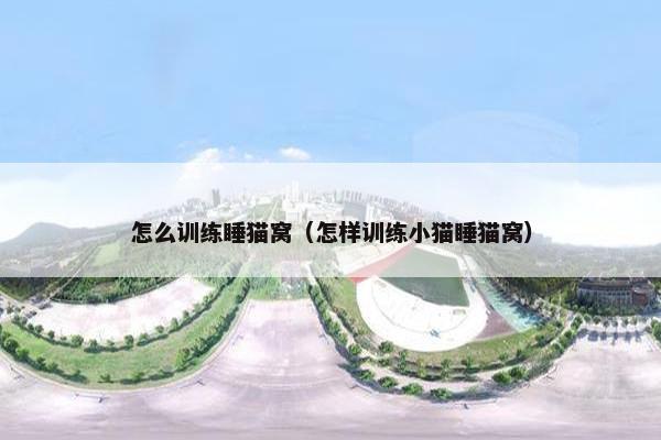 怎么训练睡猫窝（怎样训练小猫睡猫窝）