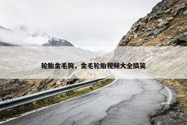 轮胎金毛狗，金毛轮胎视频大全搞笑