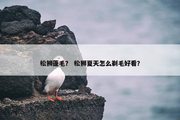 松狮蓬毛？ 松狮夏天怎么剃毛好看？