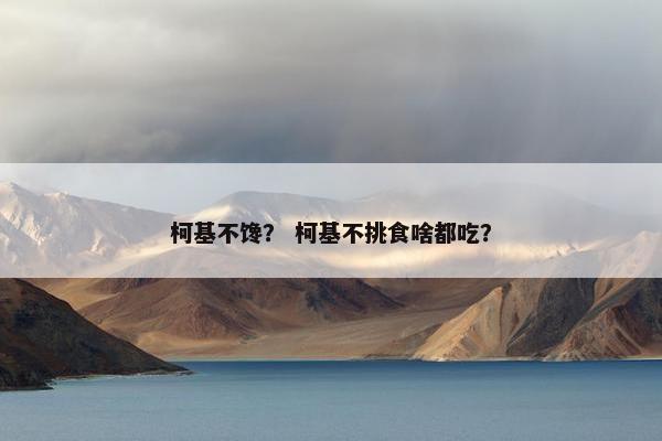 柯基不馋？ 柯基不挑食啥都吃？