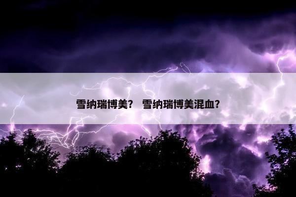 雪纳瑞博美？ 雪纳瑞博美混血？