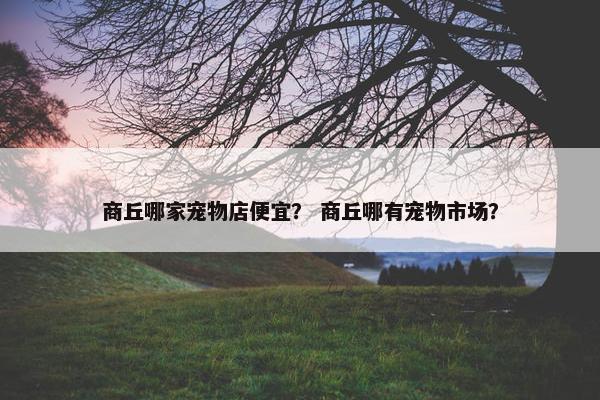 商丘哪家宠物店便宜？ 商丘哪有宠物市场？