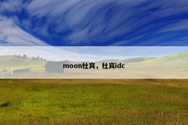 moon杜宾，杜宾idc